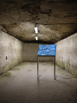 Insatllation view of eobchae's ROLA ROLLS installation at Zerostratsse Pula for the 5th Industrial Art Biennial. Photo by Damir Žižić. 